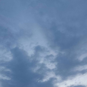 xxxxxxx欧美丁字裤
